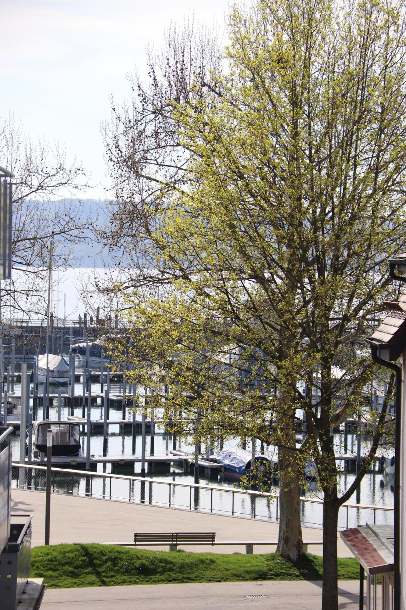 Gaestehaus Maeder Am Hafen Uhldingen-Mühlhofen Værelse billede
