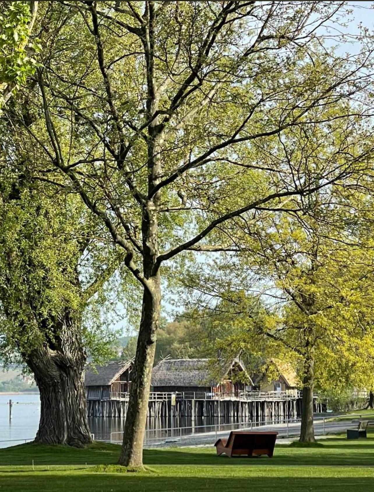 Gaestehaus Maeder Am Hafen Uhldingen-Mühlhofen Eksteriør billede